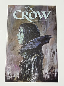 Crow 9