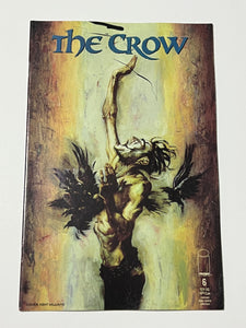 Crow 6