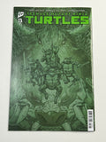 Teenage Mutant Ninja Turtles #13 Cover RI 1:25 Full Art Bishop/Eastman NM