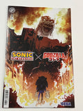 Sonic the Hedgehog X Godzilla #3 cover B Cizmesija NM