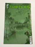 Teenage Mutant Ninja Turtles #13 - 1:75 Daniel Warren Johnson Full Art NM-