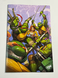 Teenage Mutant Ninja Turtles #13 - 1:250 David Nakayama Blind Bag Exclusive VF/NM
