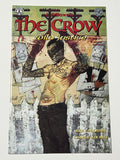 Crow: Wild Justice 1