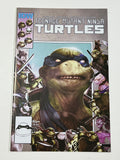 Teenage Mutant Ninja Turtles (IDW) 111 Hal Laren variant